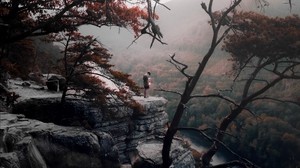 loneliness, mountains, fog, trees - wallpapers, picture