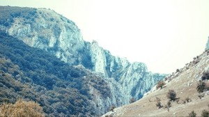 mountains, peak, ridge, trees