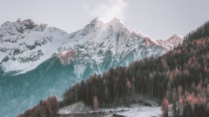 berge, luftaufnahme, wald, bäume, herbst