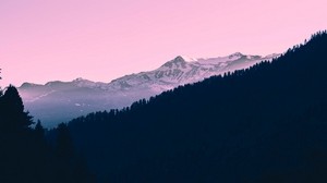 montagne, tramonto, alberi, cielo, rosa