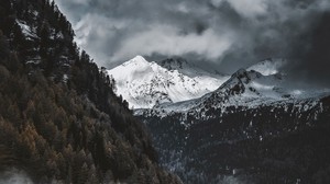 mountains, snowy, peaks, fog, trees - wallpapers, picture