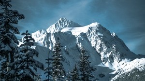 mountains, snowy, trees, forest, winter - wallpapers, picture