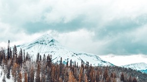 mountains, snowy, trees - wallpapers, picture