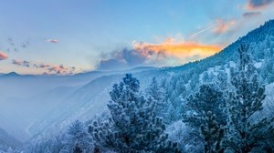 mountains, winter, trees, snowy, clouds