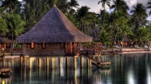 hut, cabin, tropics, water, palm trees, shore, blur - wallpapers, picture