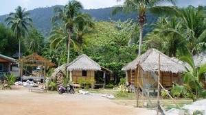 huts, palm trees, shore, beach, moped