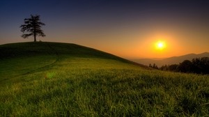 hill, light, sun, tree, green, grass, summer, evening, tranquility