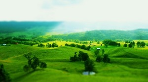 hills, fields, slopes, trees, greens, landscape, optical illusion