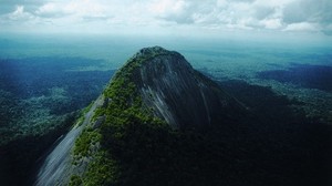 cresta, pico, árboles, pico, altura, sombrío