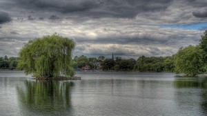 willow, trees, clouds, the sky, shore - wallpapers, picture
