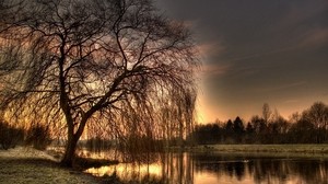 salice, autunno, il lago, sera