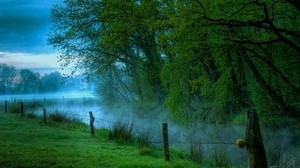 hedge, trees, wire, fog, morning, river