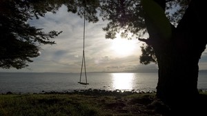 swing, tree, shore, lake
