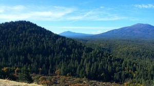 california, mountains, trees, grass, top view