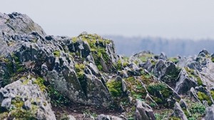 rocky, uneven, rugged, stones, moss, rock