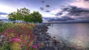 stones, flowers, trees, young growth, pond, sky, clouds, colors, cloudy, emptiness - wallpapers, picture