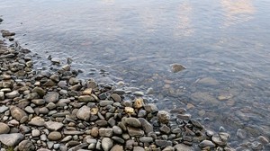 stones, pebbles, water, shore, bottom, transparent, humidity - wallpapers, picture