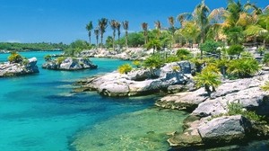 stones, blue water, bay, palm trees, shore