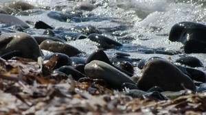 stones, sea, coast, surf