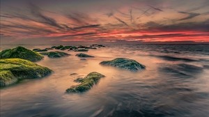 stones, sea, moss - wallpapers, picture