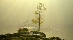 piedras, cielo, hierba