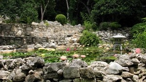 piedras, estanque, china, jardín, nenúfares, armonía, linterna