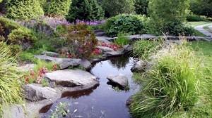piedras, estanque, jardín, vegetación, arbustos, sombra