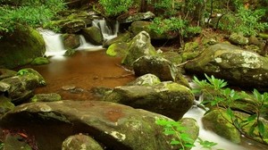 stones, stream, moss, greens - wallpapers, picture