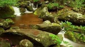 stones, stream, moss, murmur, branch, forest, source - wallpapers, picture