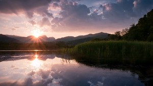 cañas, lago, sol