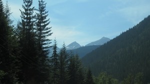 canadá, montañas, árboles, cielo