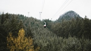 cableway, forest, trees, mountains, height