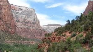 canyon, cliff, height, vegetation, shrubs, trees, wall