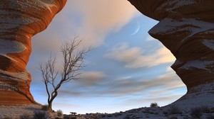 canyon, snow, tree, gorge, sky - wallpapers, picture