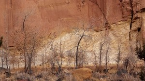 canyon, wall, stones, trees, sand, autumn - wallpapers, picture