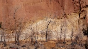 schlucht, mauer, steine, bäume, sand, herbst