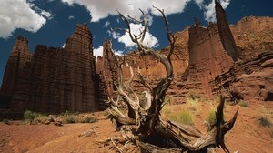 canyons, tree, dead, wall, sky, clouds, shadow