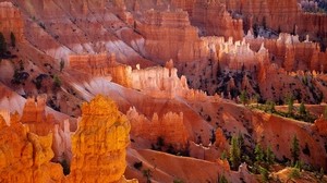 canyons, desert, trees - wallpapers, picture