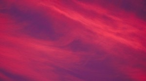 clouds, pink, porous - wallpapers, picture