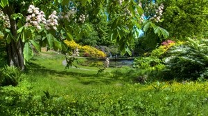 chestnut, spring, bloom, garden, green, clear