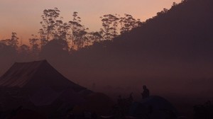 camping, skymning, dimma, tält, natur