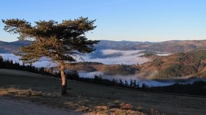 hills, mountains, trees, fog