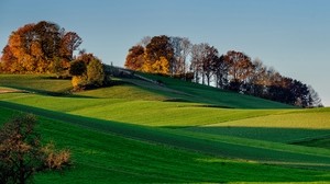 colline, erba, cielo, alberi - wallpapers, picture