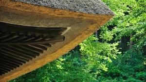 roof, trees, summer