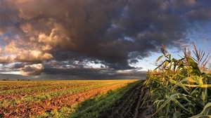 トウモロコシ、畑、空、パノラマ、耕地、雲、雲