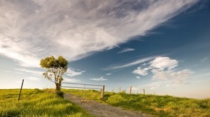 bush, fencing, wicket, road, land