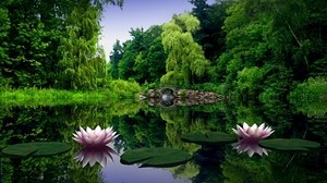water lilies, lake, bridge, graphics, park, greens - wallpapers, picture