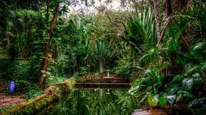 Lagune, Bäume, grün, ruhig, Sao Paulo, Brasilien