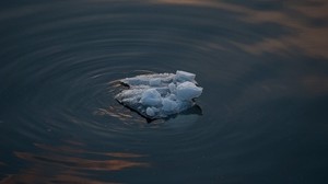 ice, water, iceberg, circles