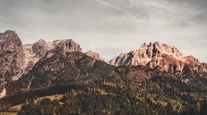 leogang, österreich, berge, bäume